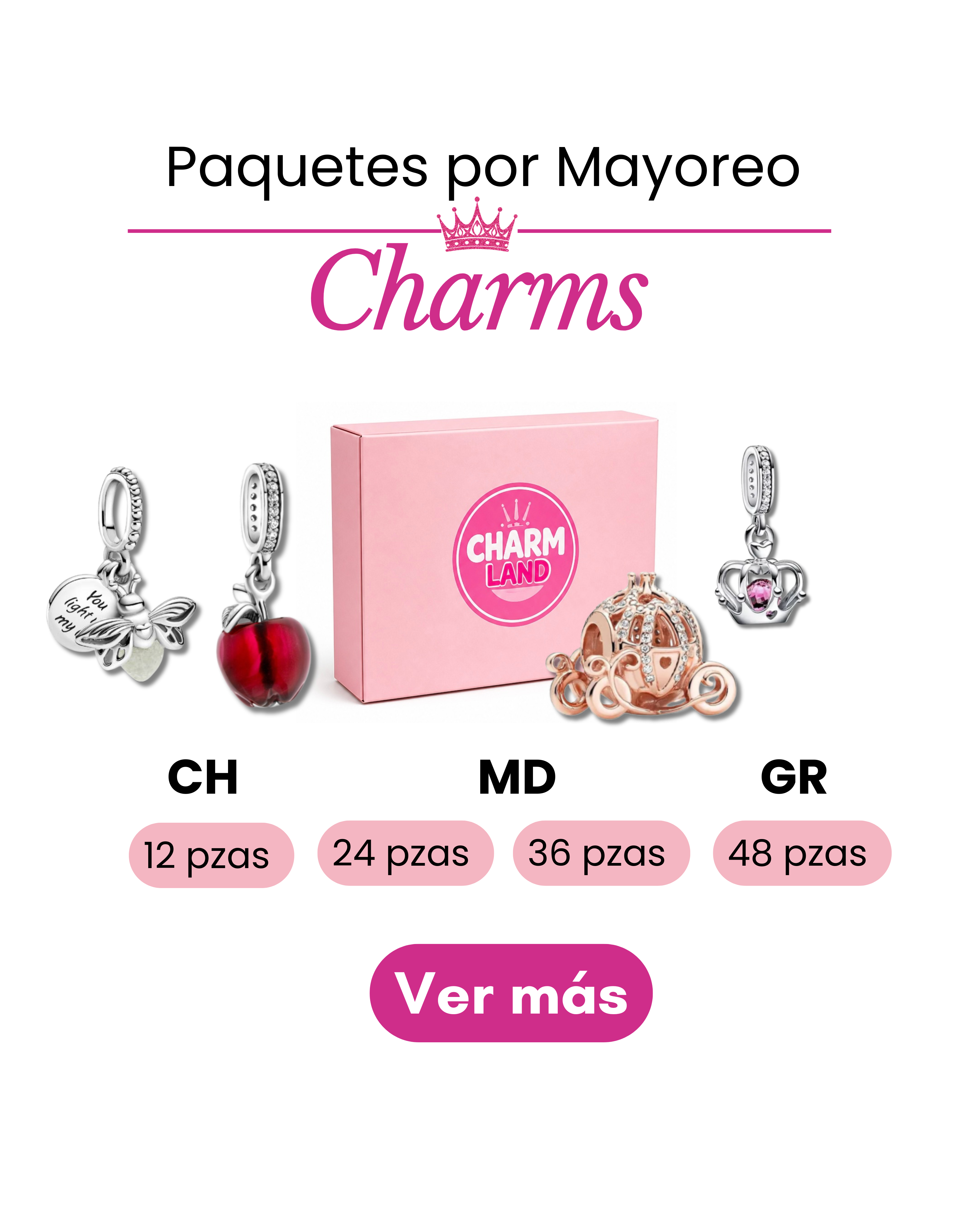 Mayoreo Charms