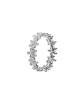Anillo A6