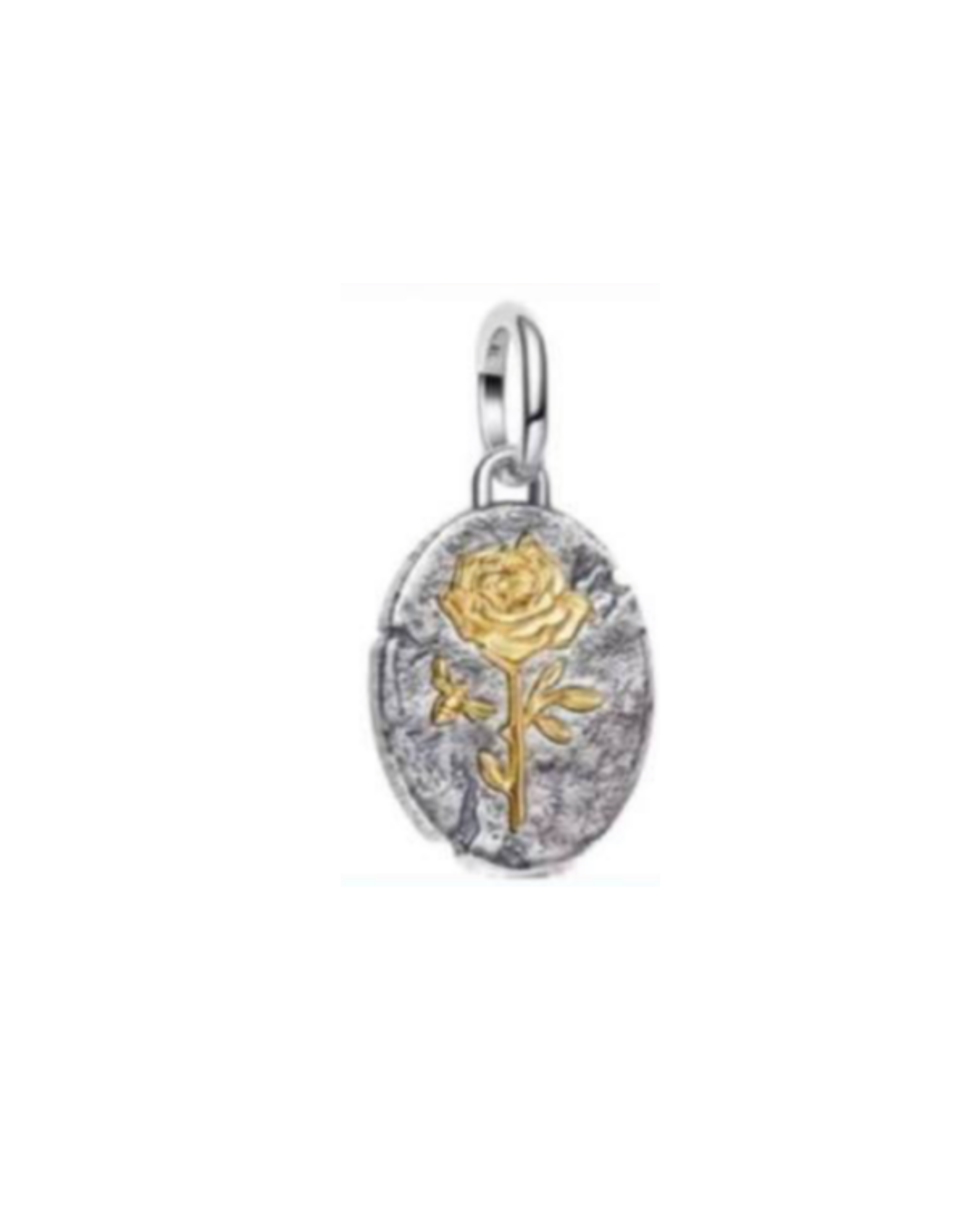 Charm 733 Medallon Rosa