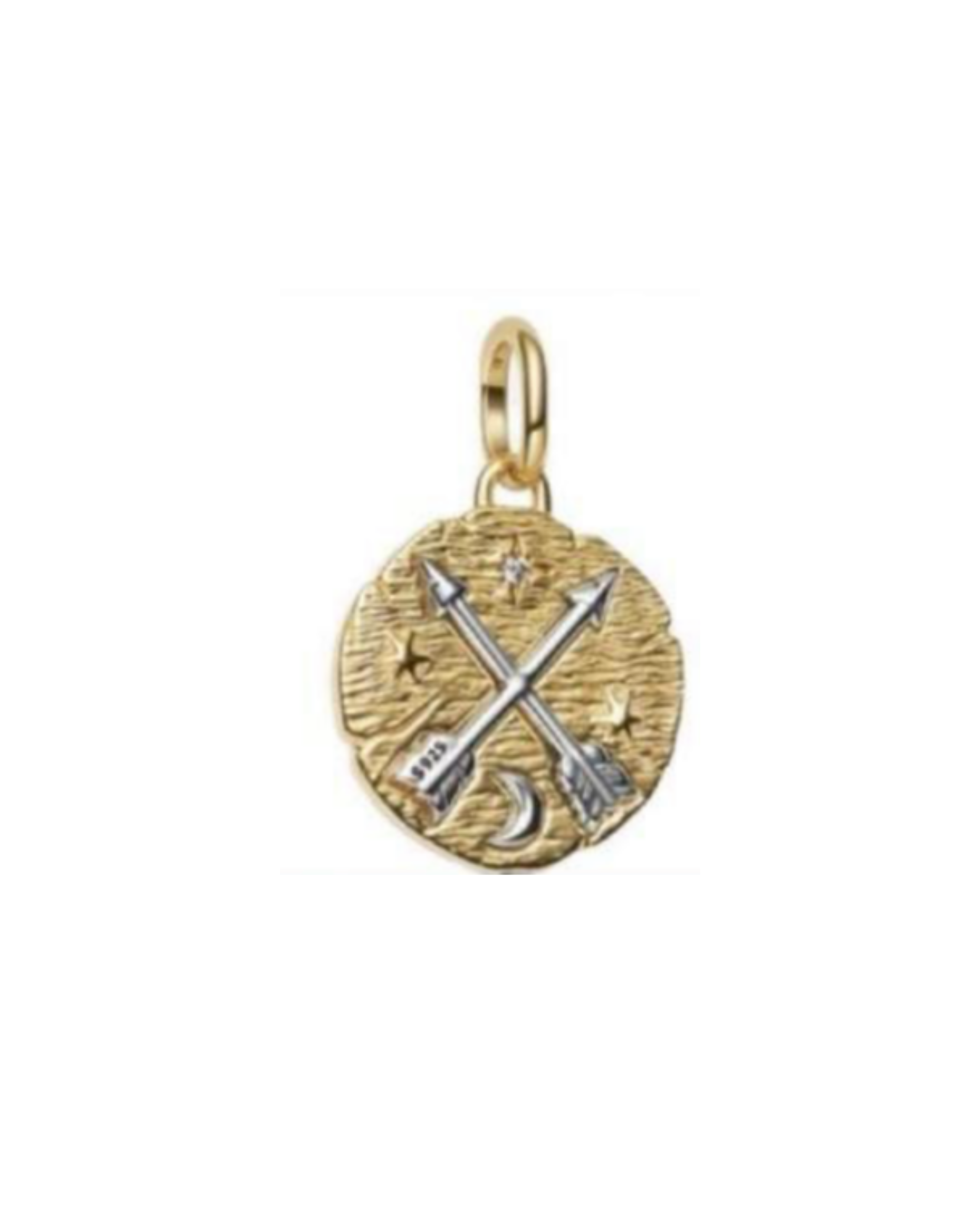 Charm 735 Medallon Flechas Plata/Dorado
