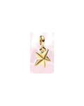 Charm 443 eslabón estrella