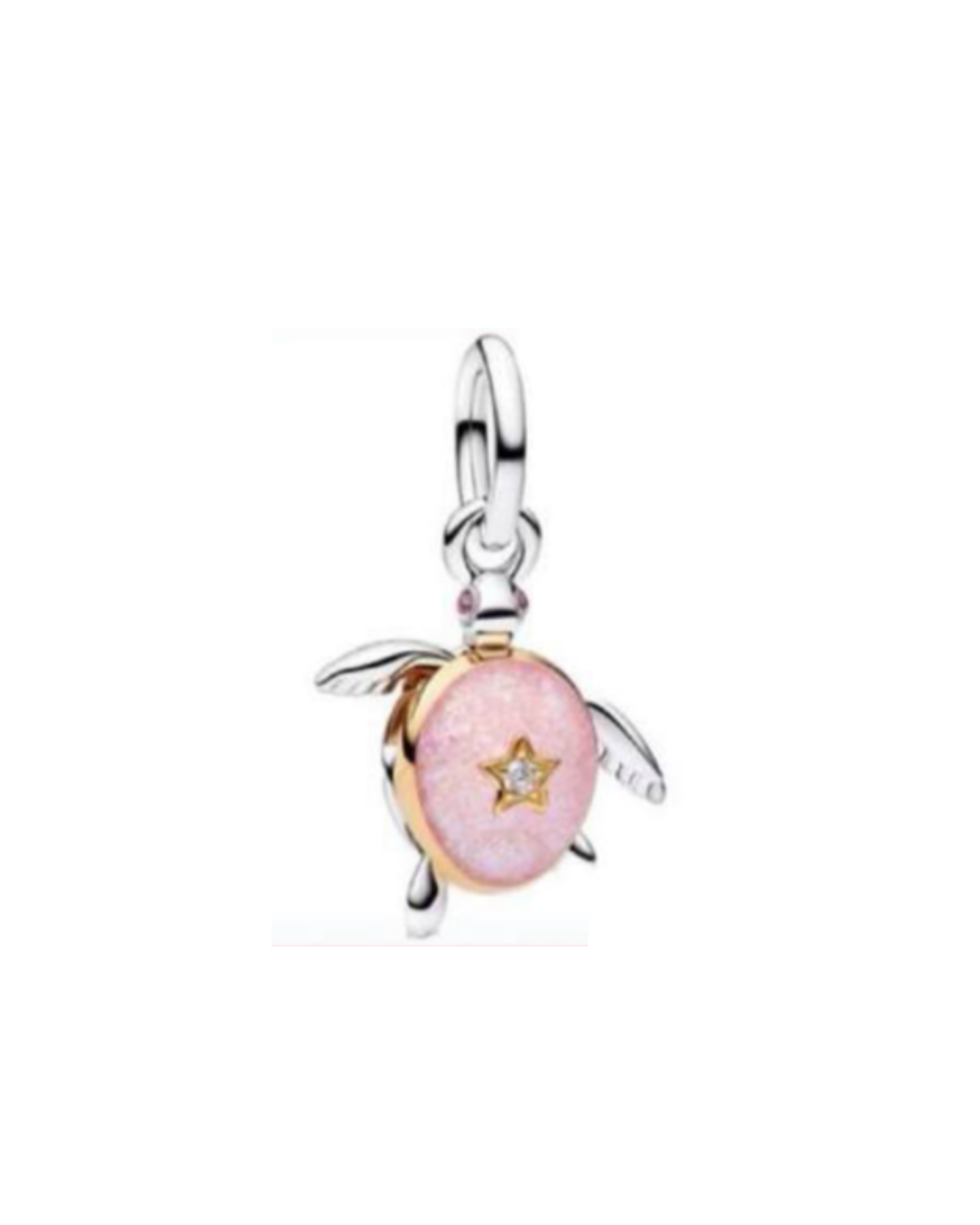 Charm 775 Tortuga Rosa "Trust the Journey"