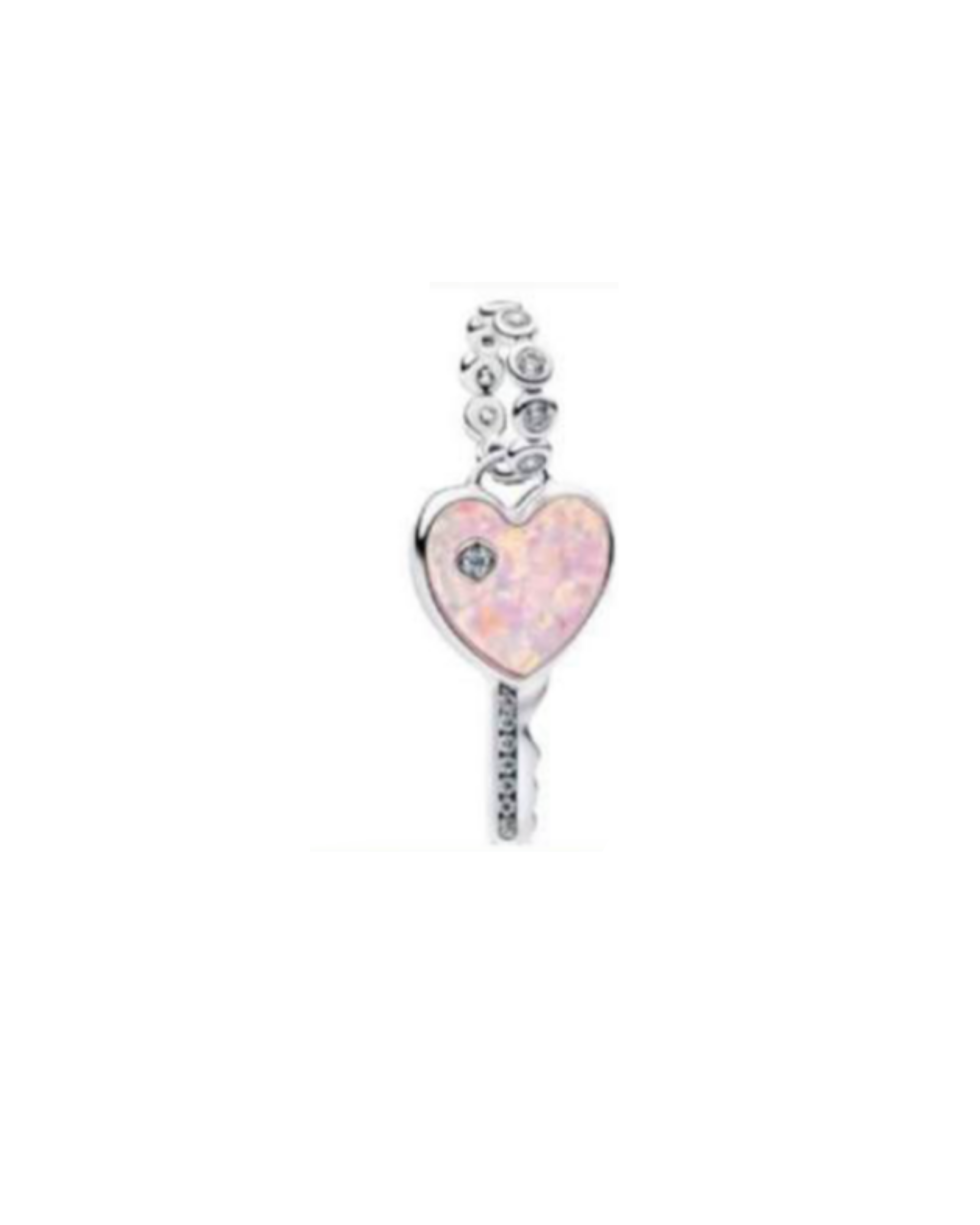 Charm 778 Llave Tornasol "No Duplicates"