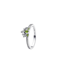 Anillo A14