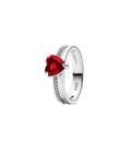 Anillo A17
