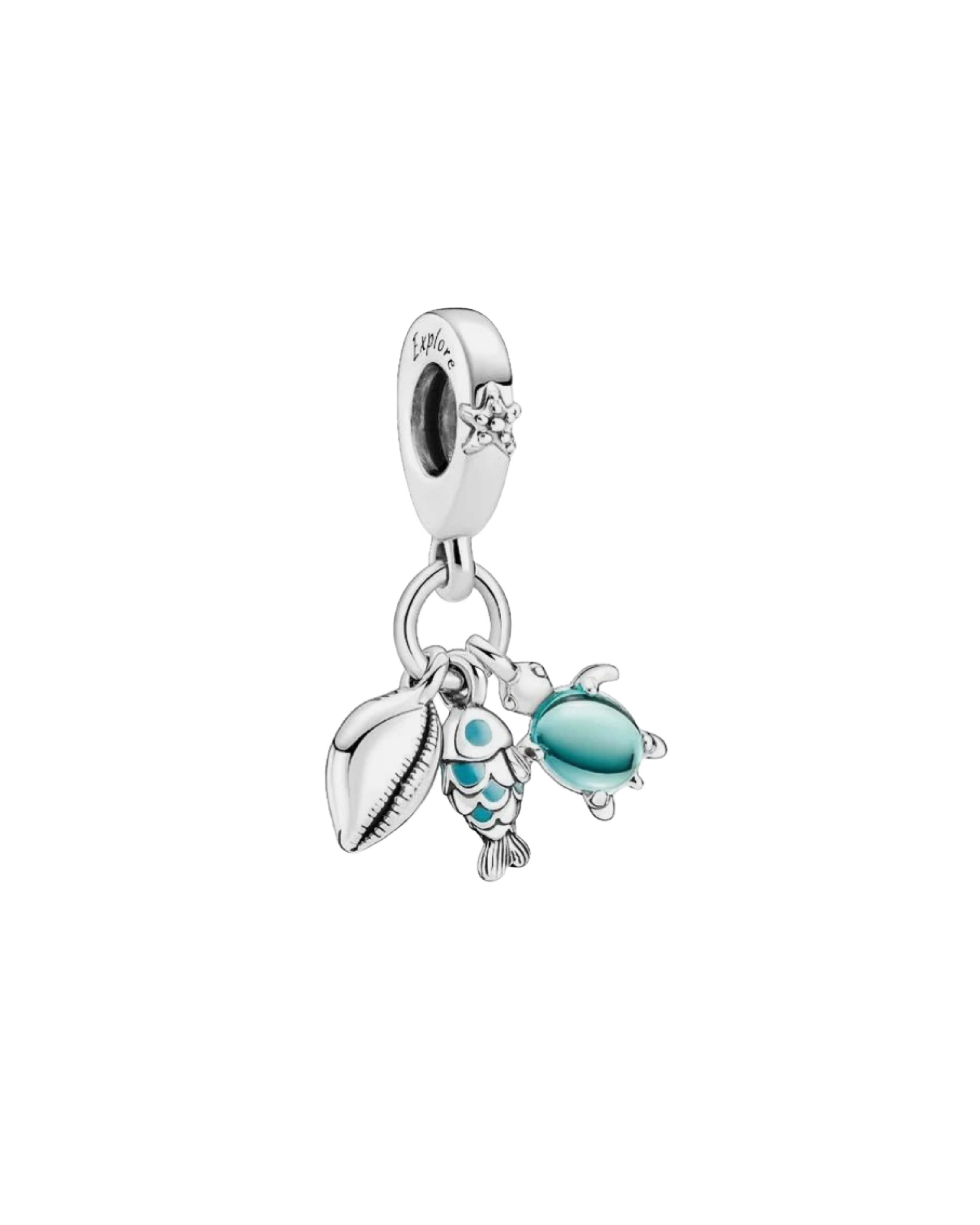 Charm 318 tortuga