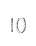 Aretes AR19