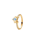 Anillo A20