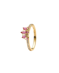 Anillo A21
