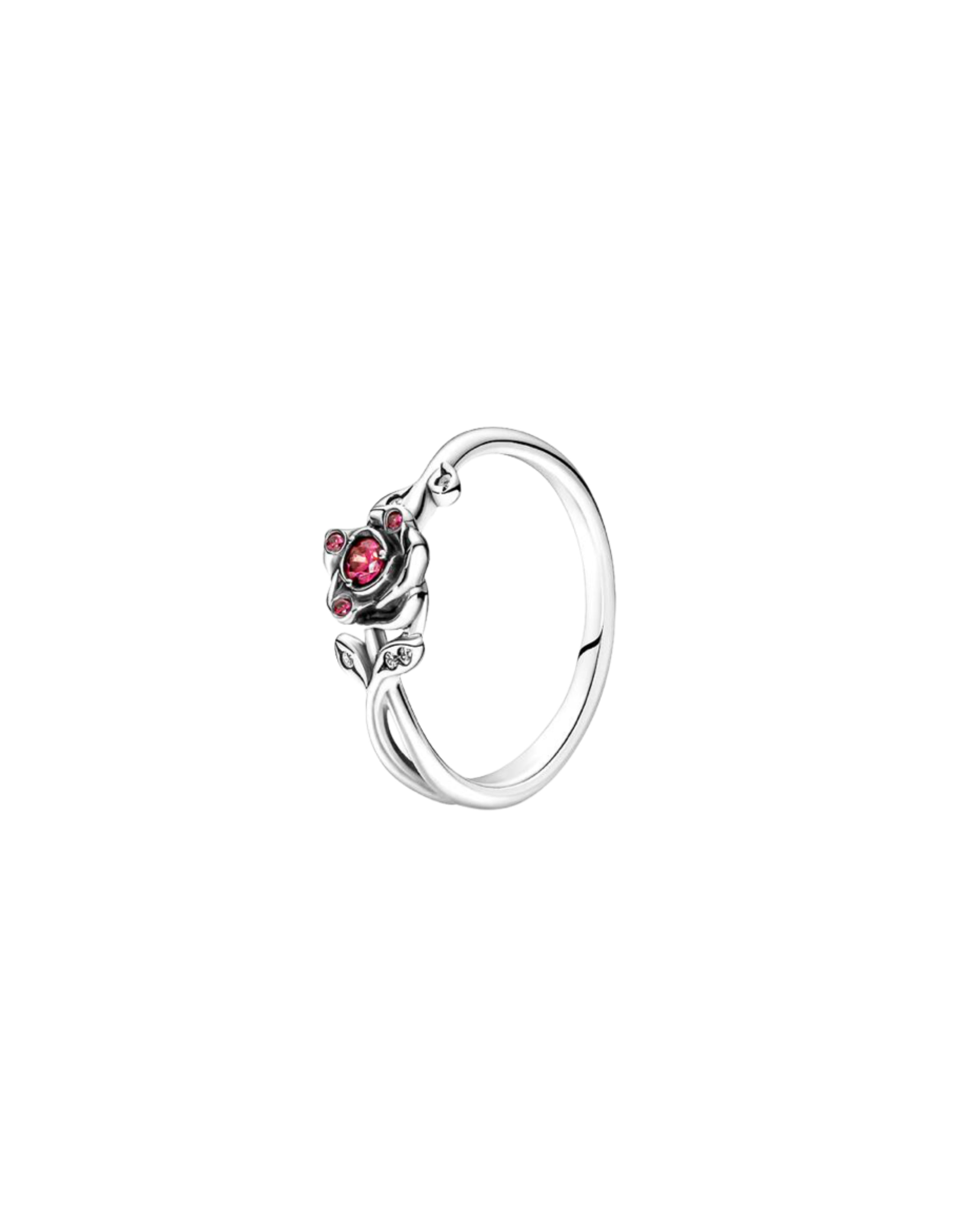Anillo A23