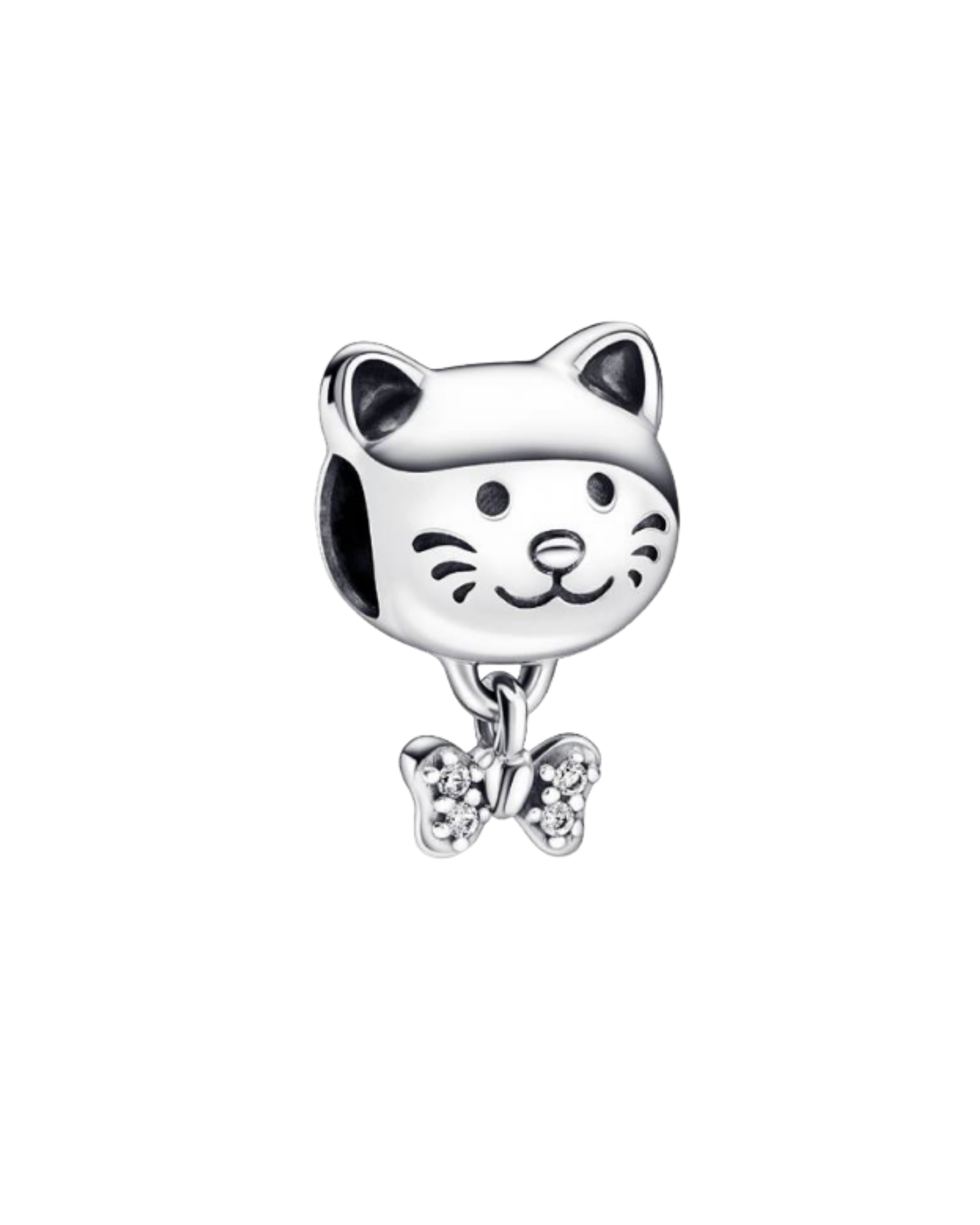 Charm 476 cara gato