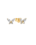 Aretes AR23