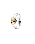 Anillo A25
