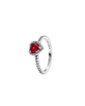 Anillo A27
