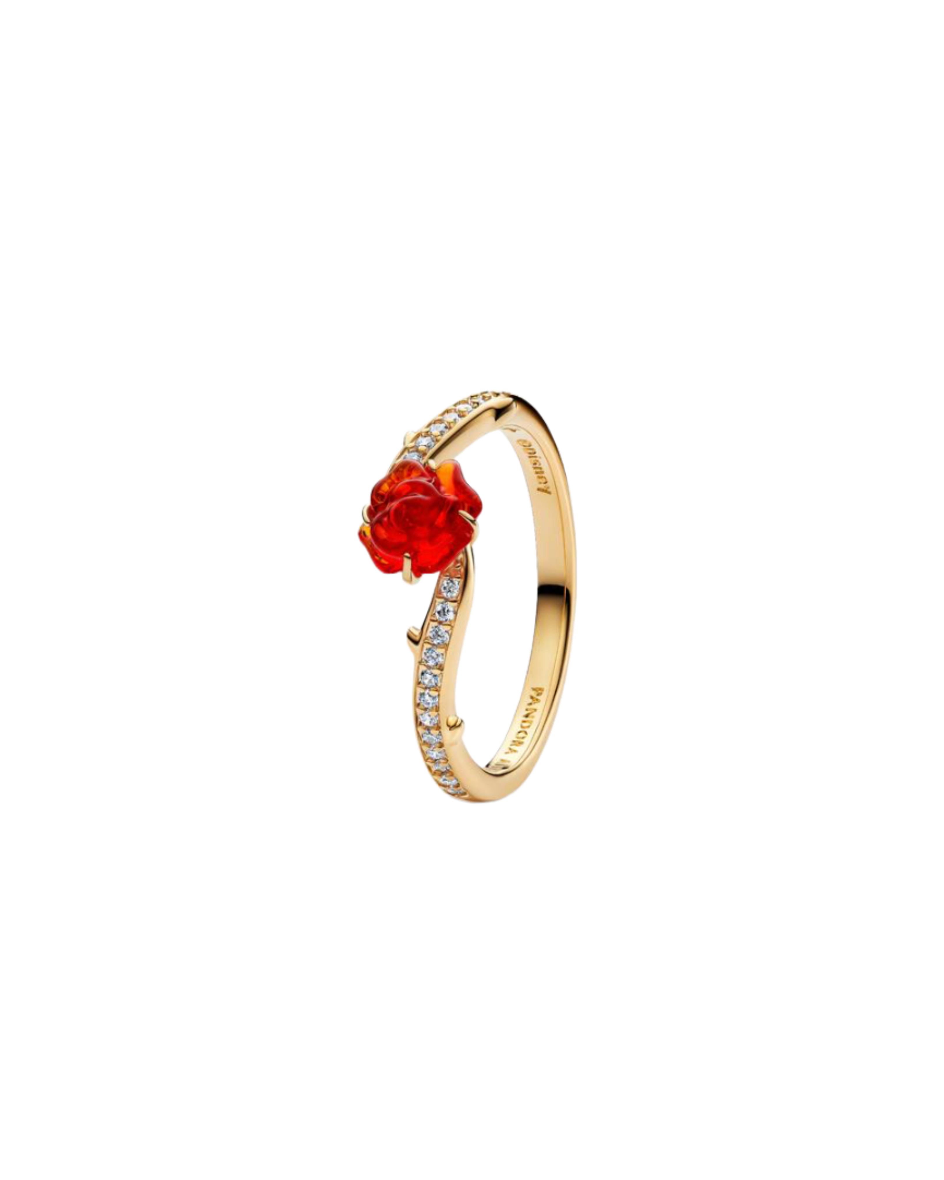 Anillo A35