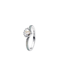 Anillo A36