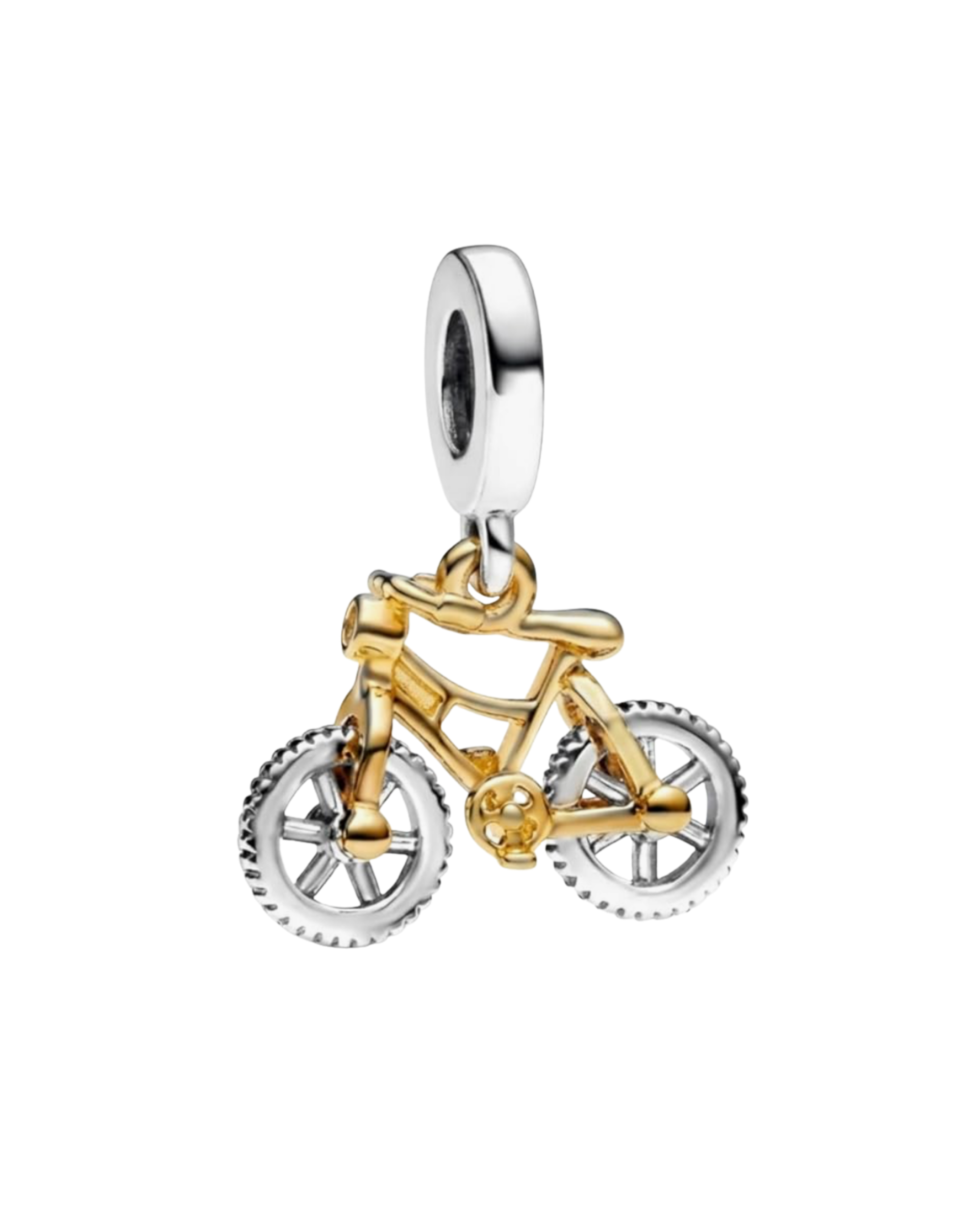 Charm 148 bici