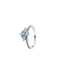 Anillo A37