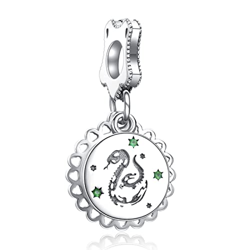 Charm 807 Casa Slytherin Harry Potter
