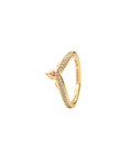 Anillo A40