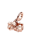 Charm 493 regalo