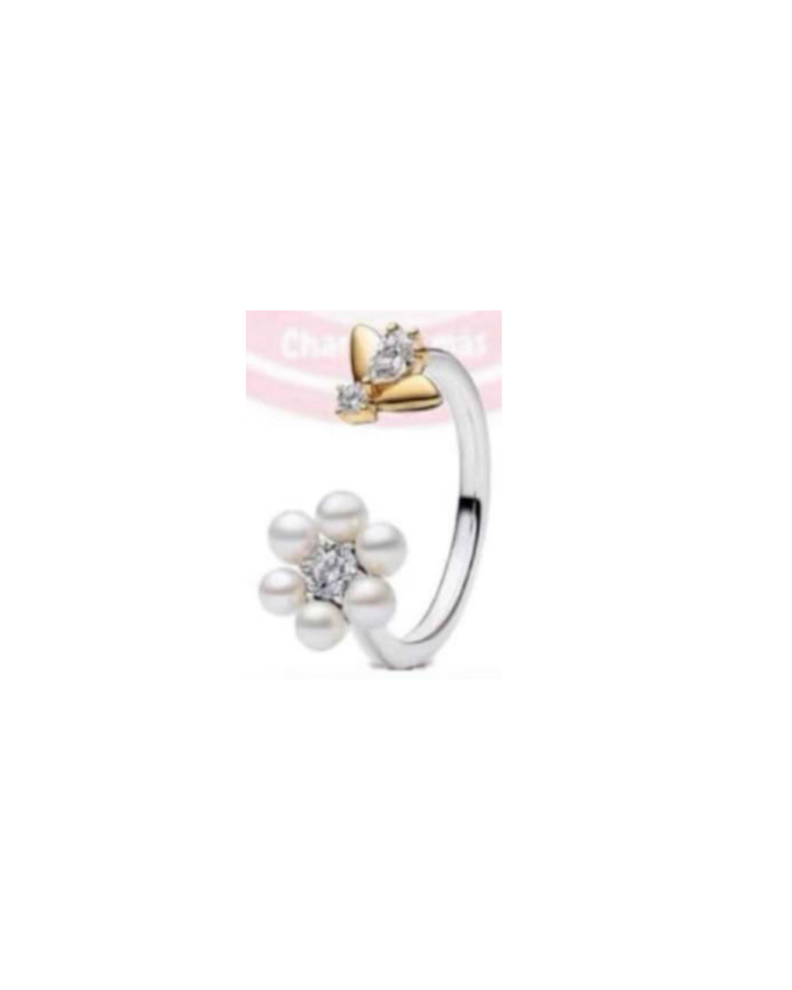 Anillo A41