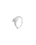 Anillo A2
