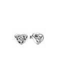 Aretes AR4