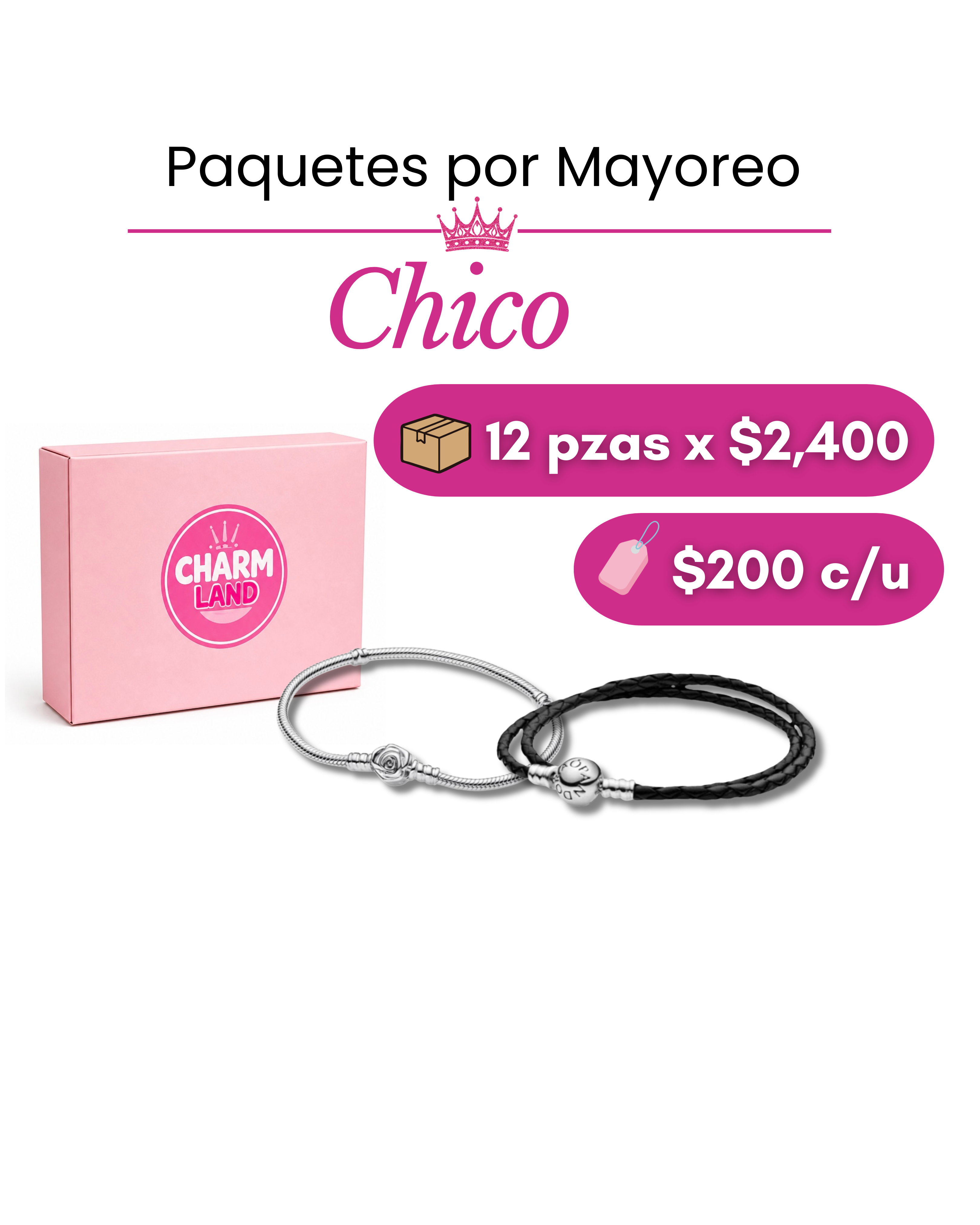 Paquete chico brazalete