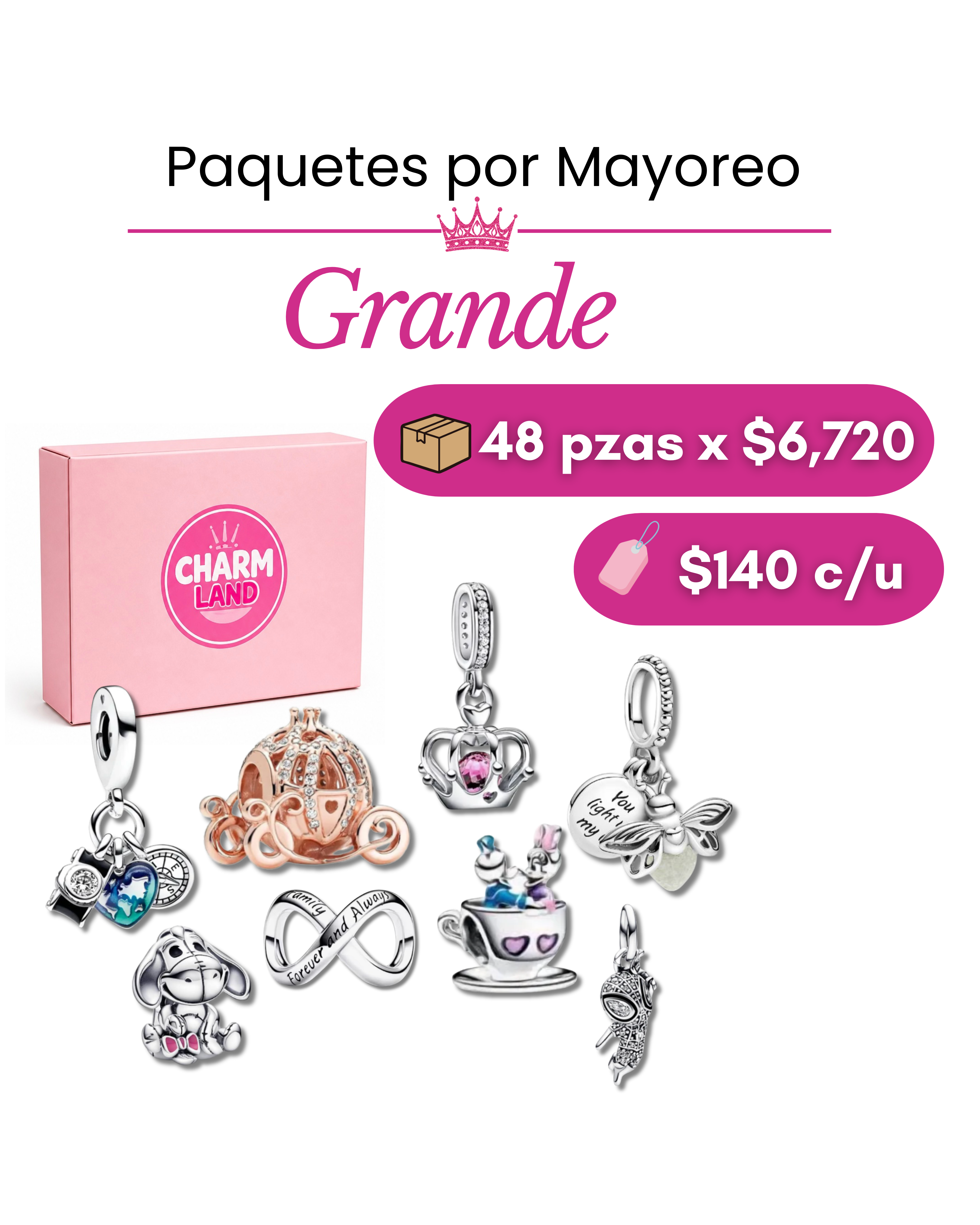 Paquete grande charms